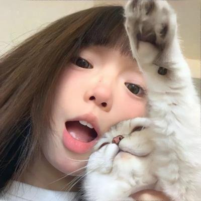 年度剧情佳作